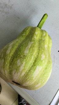 娱乐吃瓜酱属于什么,揭秘娱乐圈幕后故事与热点事件